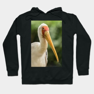 Yellow Billed Stork Hoodie